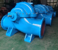 双吸登录入口